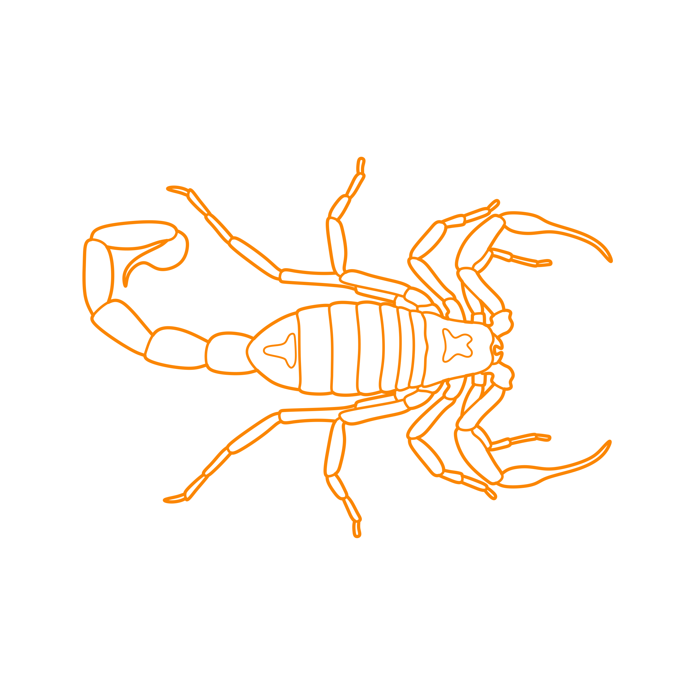 Animals Arachnids Deathstalker Svg Line Art Free Vectors